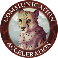 Communication Acceleration